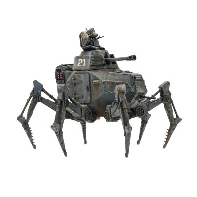 Vogelspinne Light Walker Miniatur