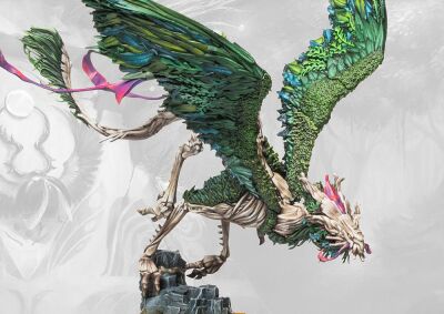 Coill Draic