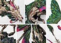 Coill Draic