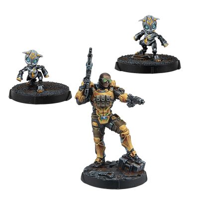 Gui Feng Xi Zhuang (Combi Rifle) Inhalt