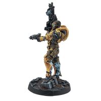 Gui Feng Xi Zhuang (Combi Rifle)