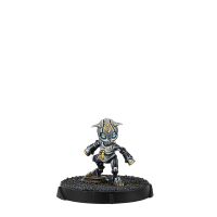 Gui Feng Xi Zhuang (Combi Rifle)