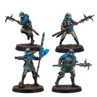 Feudom Guisarmiers Inhalt
