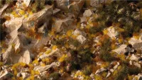 Golden Autumn Glade Basing Box