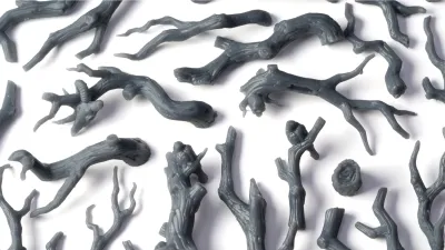 Basing Bits - Gnarled Branches