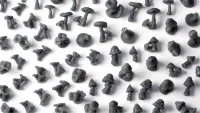 Basing Bits - Forest Mushrooms Detail