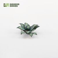 Laser Plants - Blue Agave