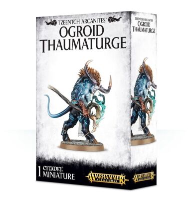 Rekruten-Bundle: Wandelgeborene des Tzeentch Miniatur