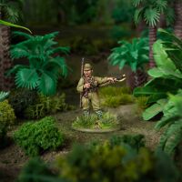 Armies of Imperial Japan (English)