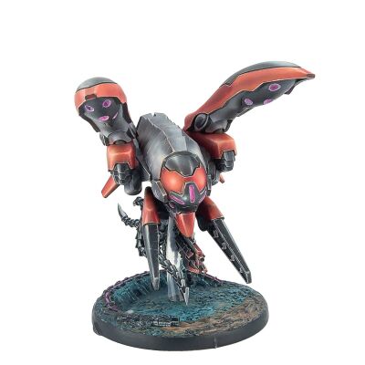 Skyhounds, Combat and Recon Air Squadron Inhalt