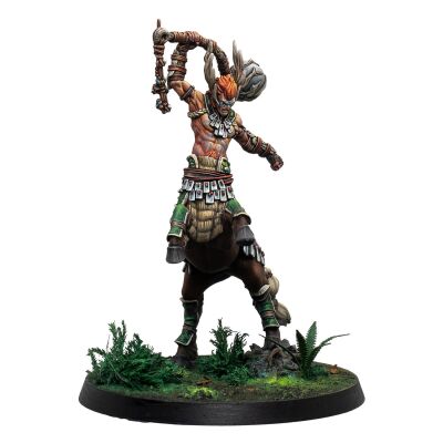 Eachann - the Great Centaurelf