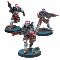 Stingers, Security Tactical Unit Inhalt