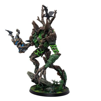 Syenann Moss Hermit