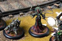 The Graveborn Command Cadre