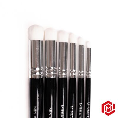 PRO DRYBRUSH SET