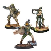 Hassassin Expansion Pack Gamma Inhalt