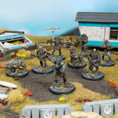 Fallout Miniatures: Super Mutants Core Box