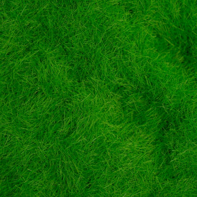 STATIC GRASS [Light Green] - 200ml