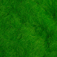 STATIC GRASS [Light Green] - 200ml