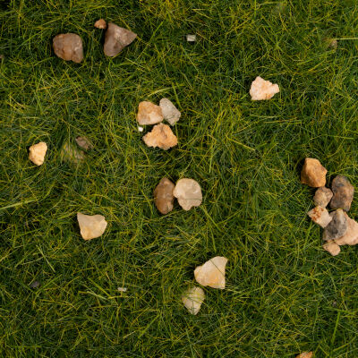 GRASS &amp; ROCKS [Dark Moss] - 200ml