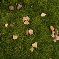 GRASS &amp; ROCKS [Dark Moss] - 200ml
