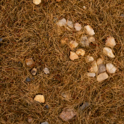 GRASS &amp; ROCKS [Dry Moss] - 200ml