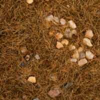 GRASS &amp; ROCKS [Dry Moss] - 200ml