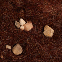GRASS &amp; ROCKS [Dark Brown] - 200ml