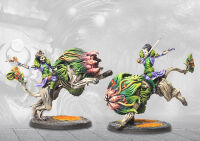 Conquest - Fianna Cavalry