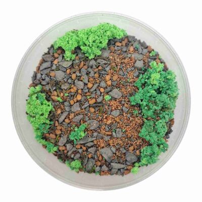 Basetopping: BATTLEFIELD (140ml)