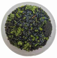 Basetopping: WARPSTEIN (140ml)