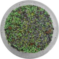 Basetopping: ANCIENT EARTH (140ml) UV