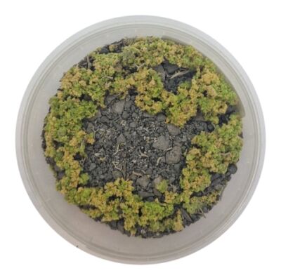 Basetopping: SIEGE GROUND (140ml)