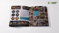 Boxed Sets - Chaos Wasteland Basing Box