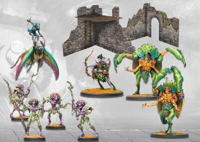 Conquest - Weaver Court: Conquest First Blood Reinforcement Set