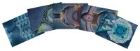 D&amp;D RPG WoW: Icecrown Citadel Kartenpaket (Englisch)