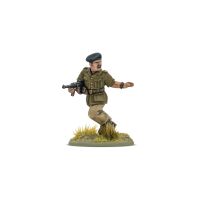 Armies of France + limited Miniature (English)