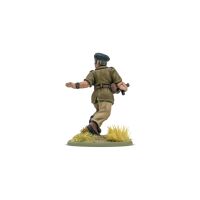 Armies of France + limited Miniature (English)
