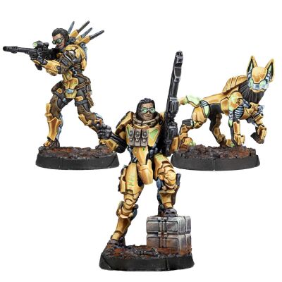 Gui Feng Spec-Ops Inhalt