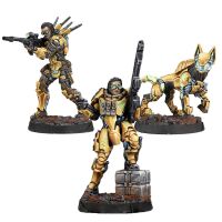 Gui Feng Spec-Ops Inhalt
