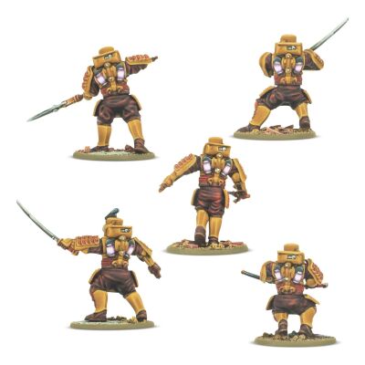 Konflikt 47: Empire of Japan Long Range Penetration Group