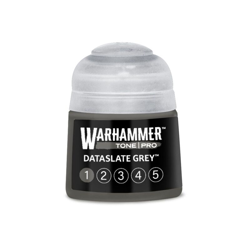 Dataslate Grey 1 (12ml)