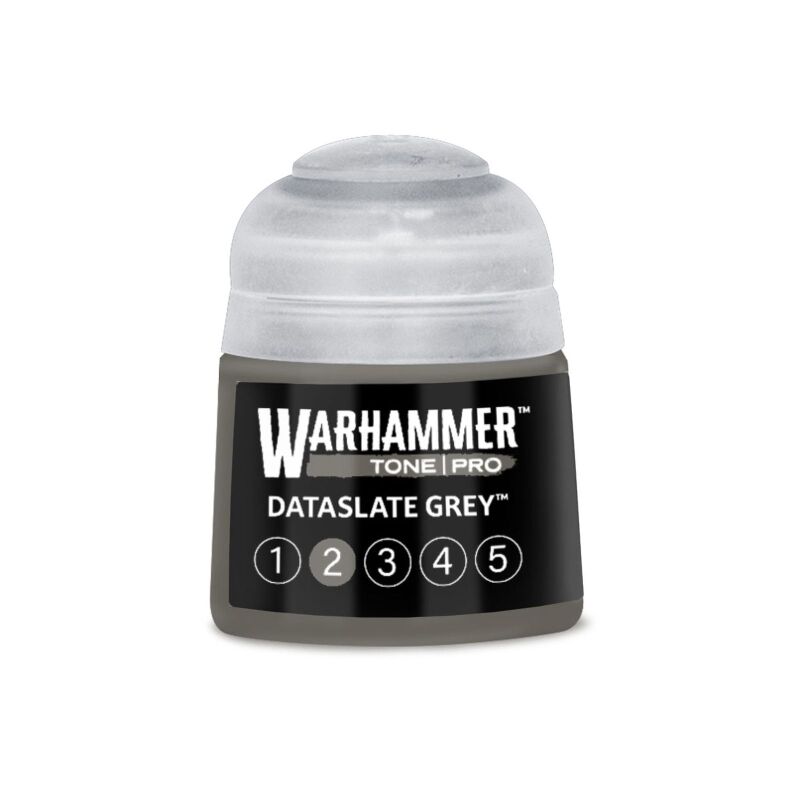 Dataslate Grey 2 (12ml)