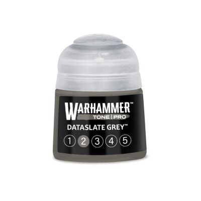 Dataslate Grey 2 (12ml)