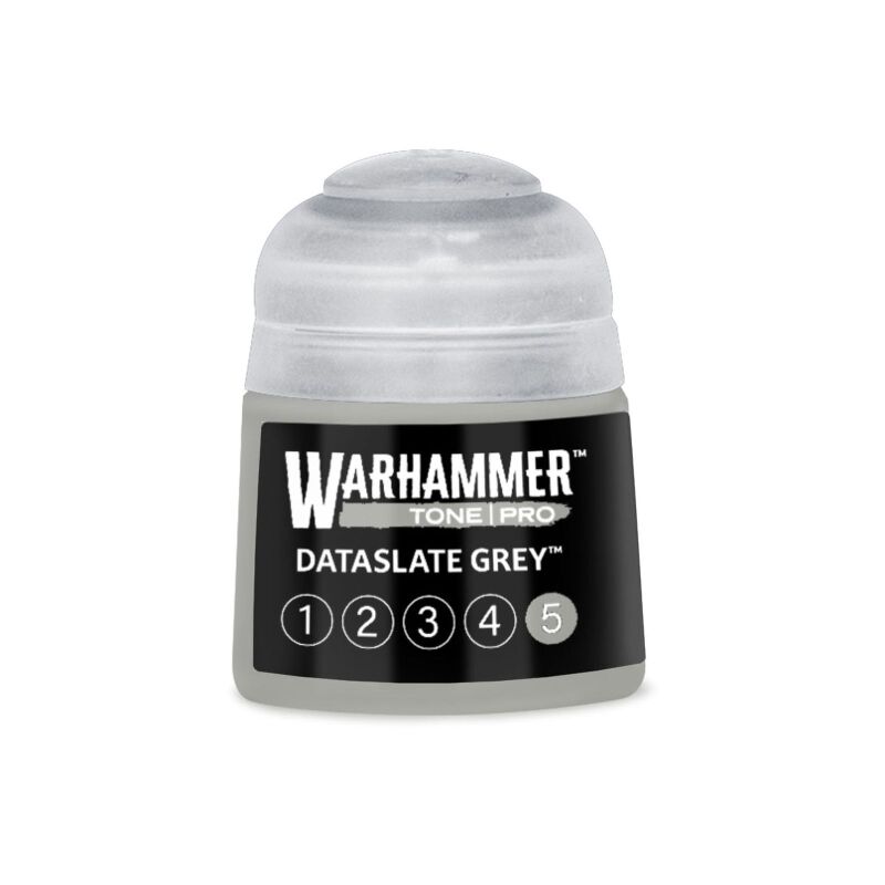 Dataslate Grey 5 (12ml)