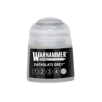 Dataslate Grey 5 (12ml)