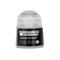 Dataslate Grey 5 (12ml)