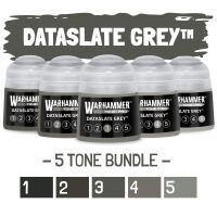 Dataslate Grey 1-5 Bundle