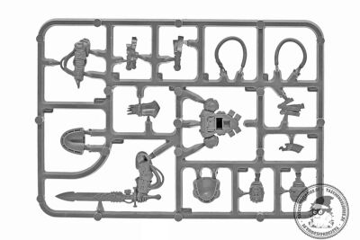 Primaris Librarian
